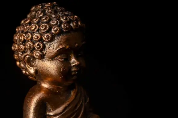 Réserver une séance de Méditation Guidée - Wellengo Méditation Guidée - Séance bien-être et relaxation | Réservation en ligne